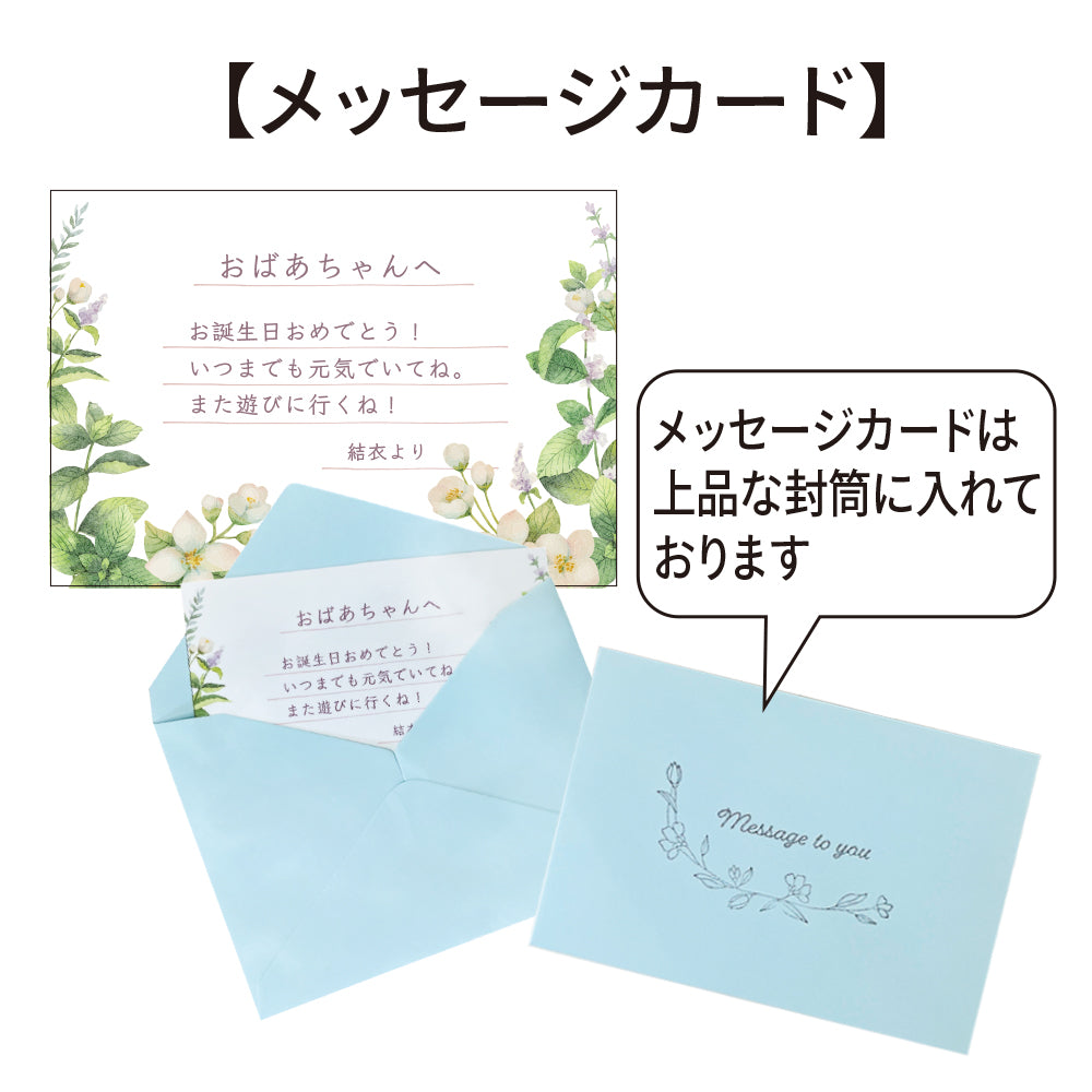 ガジュマル 幸せの木 多幸の木 精霊の宿る木 縁起が良い 健康 長寿 観葉植物 お祝いギフト 贈り物 幸運を呼ぶ 陶器の鉢 おしゃれなギフト hananico plants