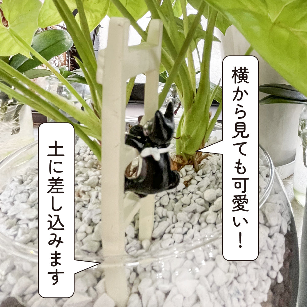 ガーデン雑貨 可愛いピック 「黒ネコとハシゴ」 ガーデニングを楽しむ雑貨