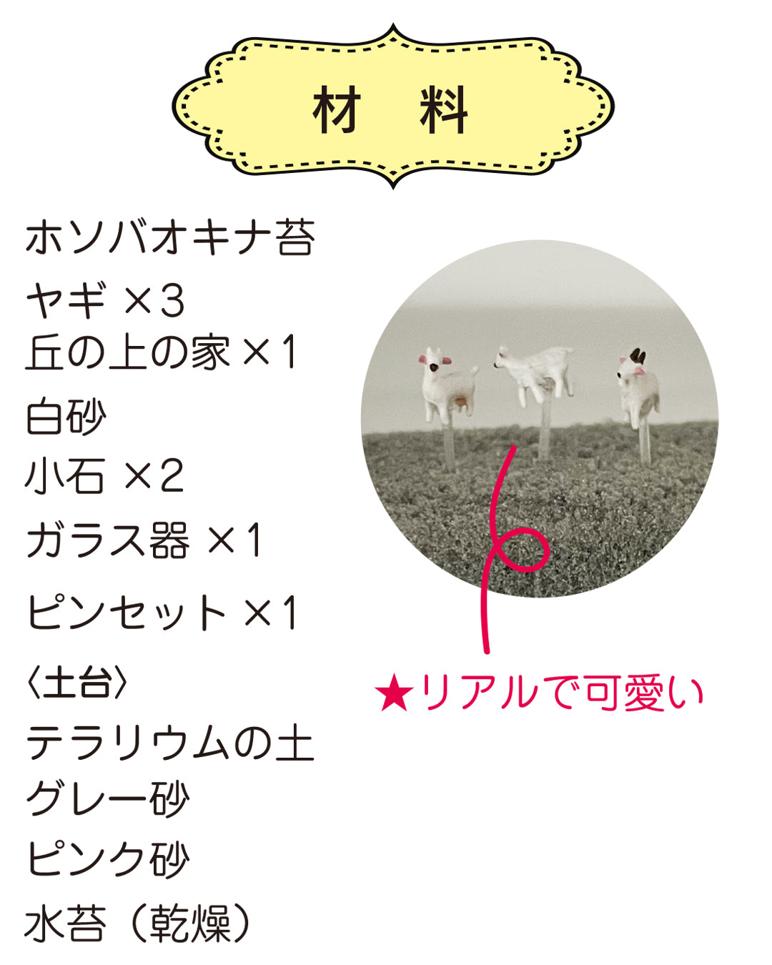 苔の世界〈手作りキット〉丘の上の家 〜自分で作るテラリウム制作キット(動画を見ながら楽しく作れます)