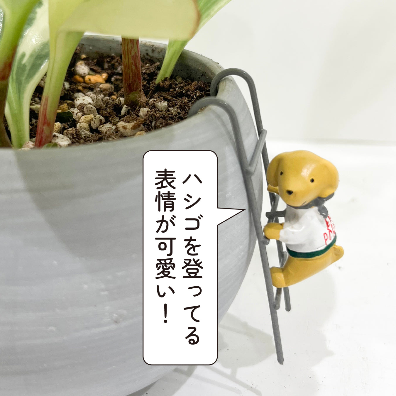 ガーデン雑貨 可愛いオーナメント 「わんこ ハシゴ」 ガーデニングを楽しむ雑貨