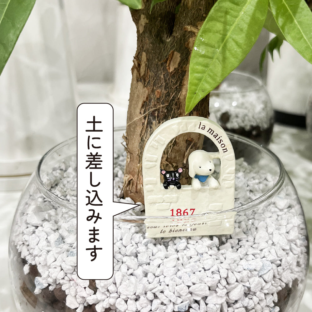 ガーデン雑貨 可愛いピック 「わんこ&黒猫 白い窓辺」 ガーデニングを楽しむ雑貨