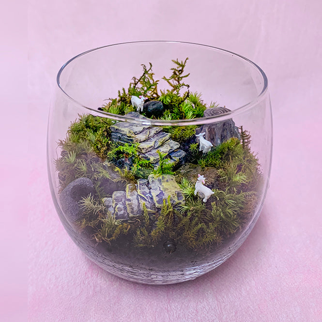 苔の世界 テラリウム ヤギのいる丘