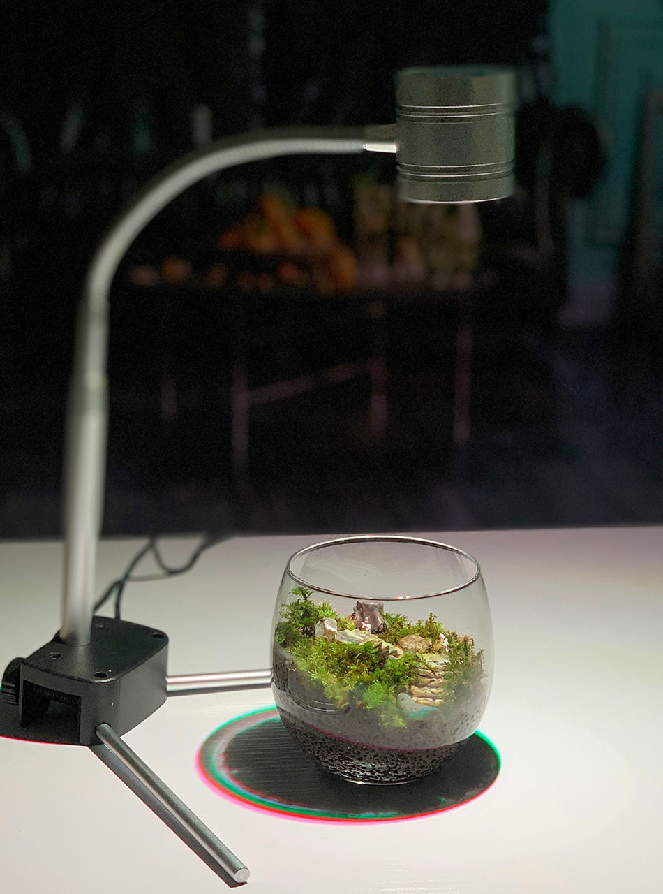 苔の世界〈手作りキット〉ヤギのいる丘