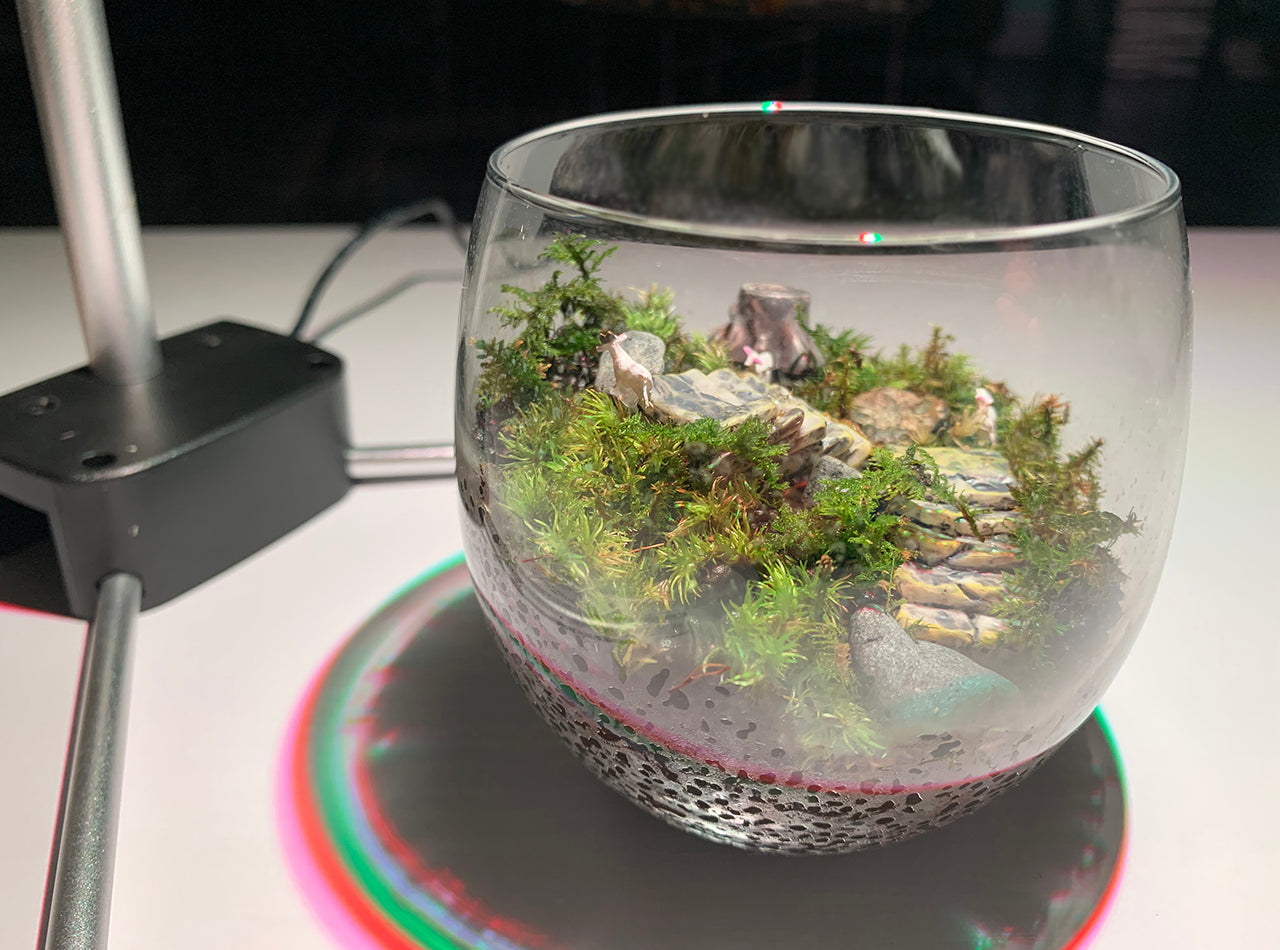 苔の世界〈手作りキット〉ヤギのいる丘