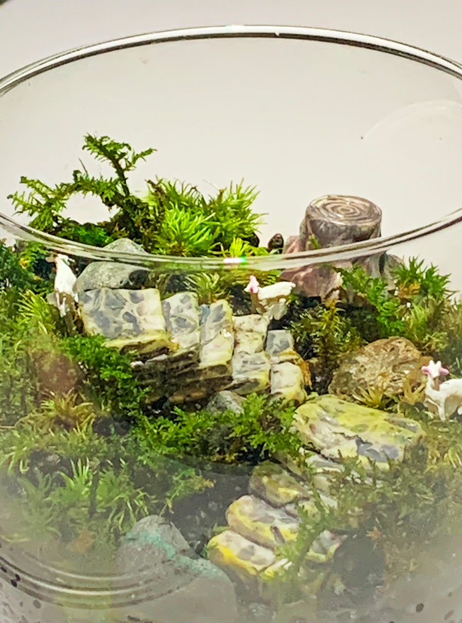 苔の世界〈手作りキット〉ヤギのいる丘