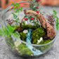 苔の世界〈完成品〉かわいい猫が遊ぶ森　※キットではありません