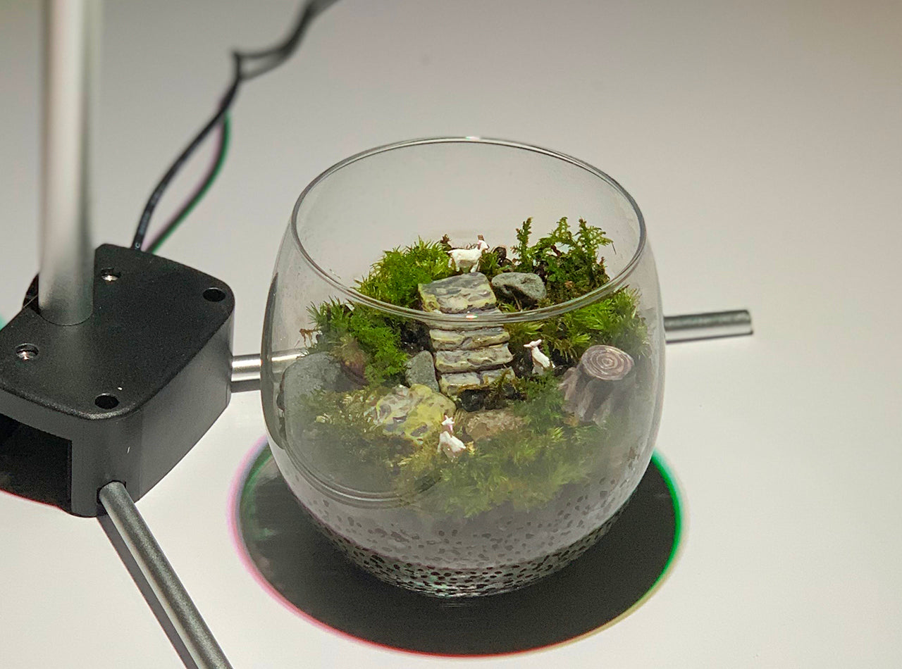 苔の世界〈手作りキット〉ヤギのいる丘